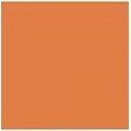 Lautasliina 40x40 2krs ¼-taitto 100kpl Oranssi