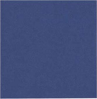 Lautasliina 24x24cm 2krs 100kpl ¼-taitto Sininen