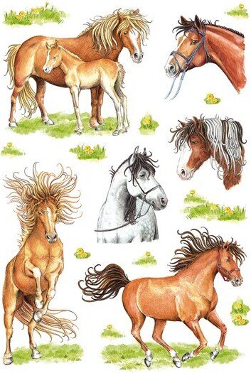 Tarra-arkkit Hevoset