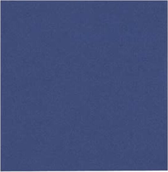 Lautasliina 40x40 2krs ¼-taitto 100kpl Sininen