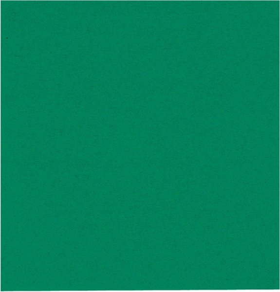 Lautasliina 40x40 2krs ¼-taitto 100kpl Vihreä