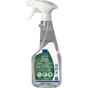 Ikkunanpuhdistusaine 750ml pumppupullossa